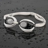 Img 20241113 Wa0022.jpg